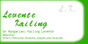 levente kailing business card